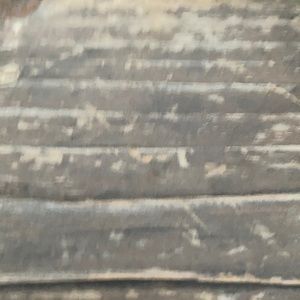 Meet your Posher, Lee